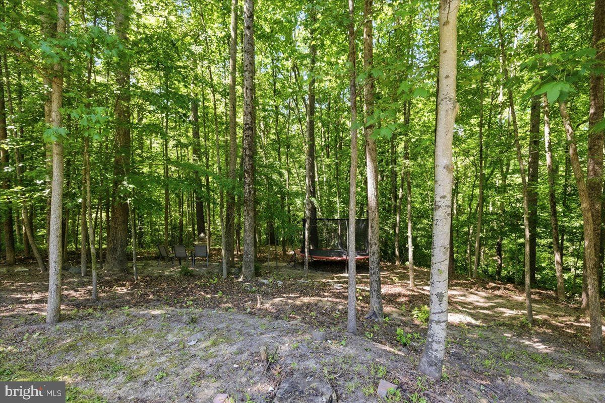 2424 Springbrook Court photo 97