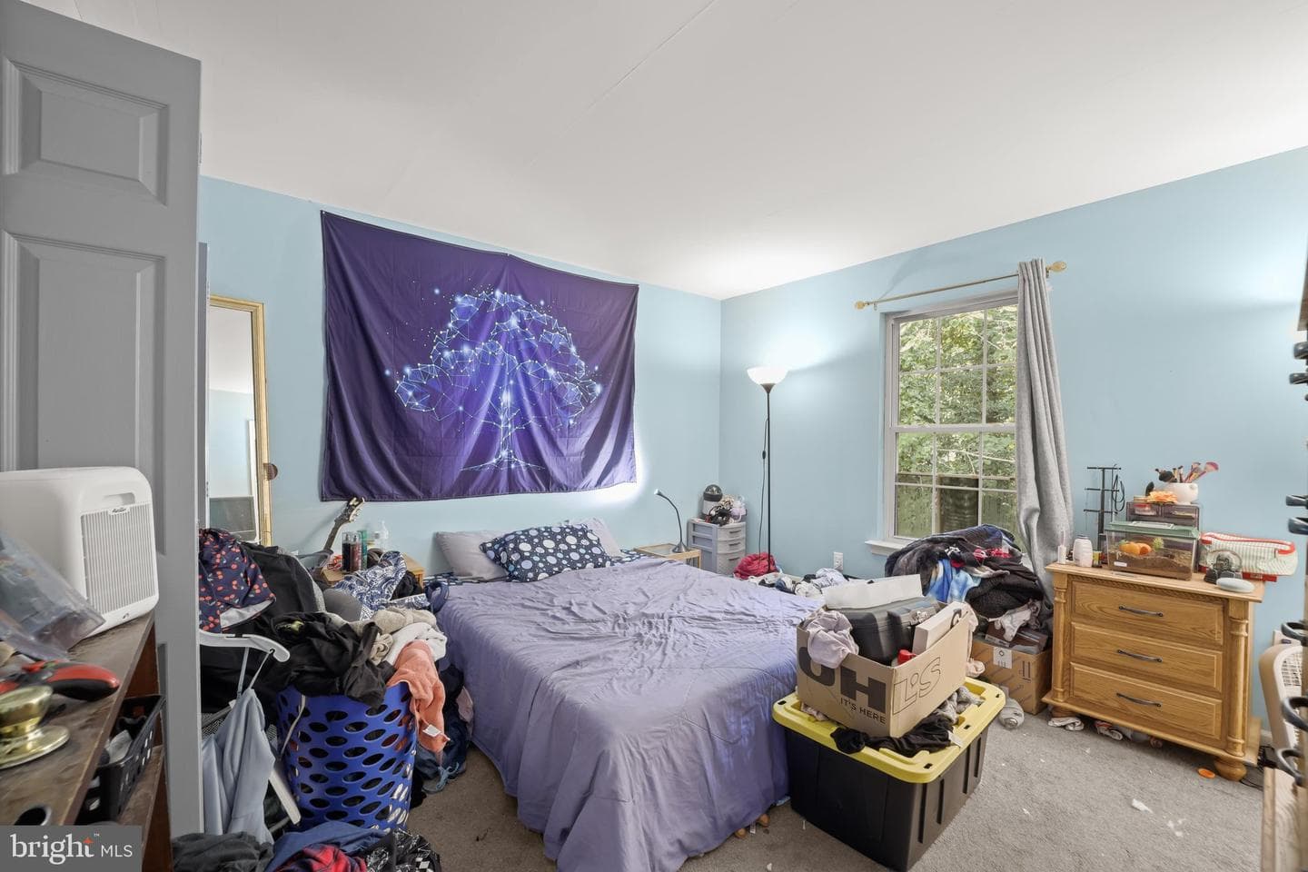 12465 Hisperia Road photo 5