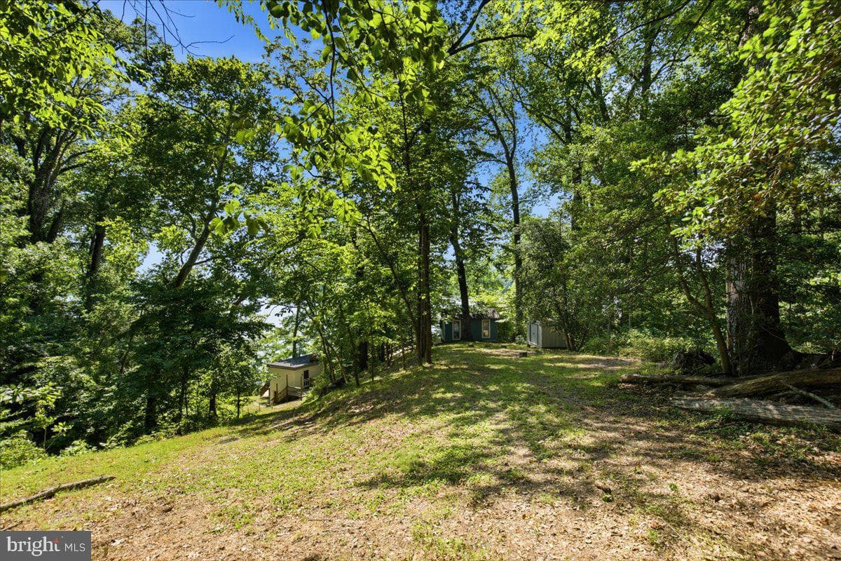 4189 Hance Road photo 23