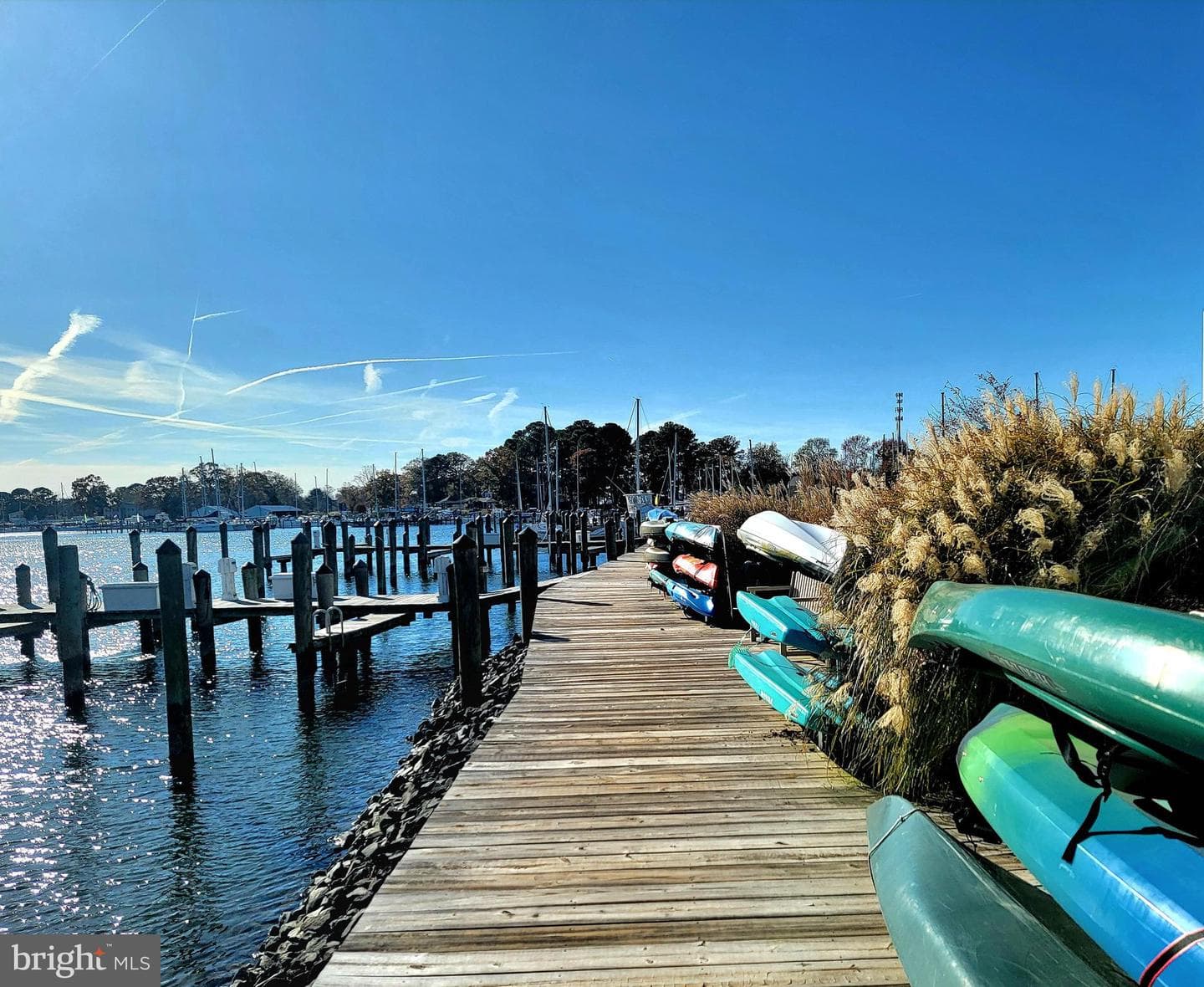 210 Oyster Bay Place #c2 photo 75