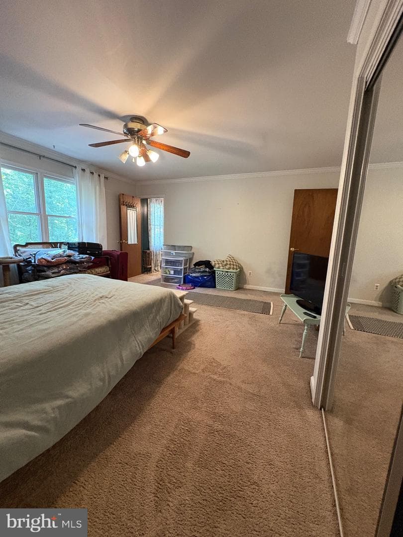 5885 Valley photo 23