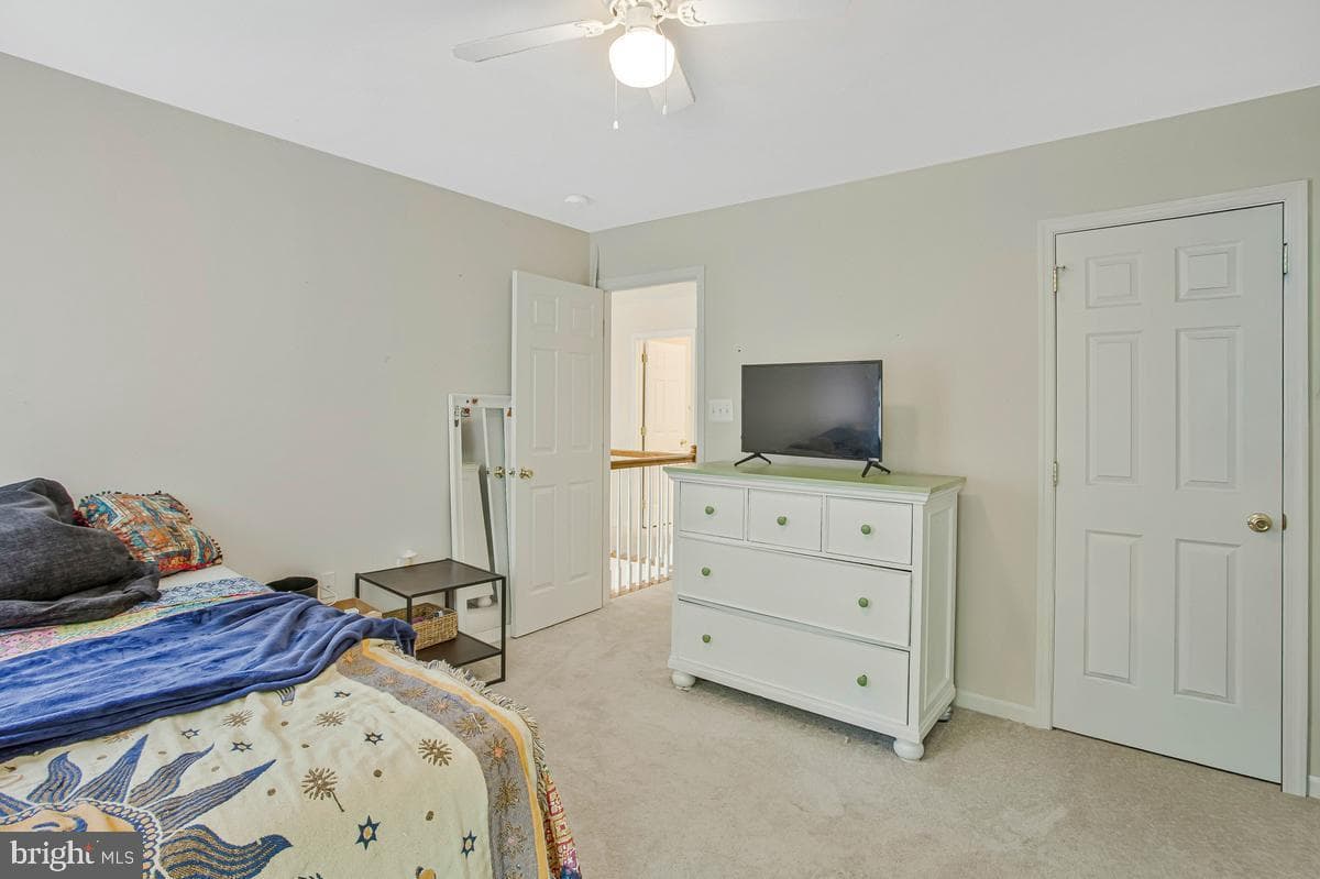 1000 Tiffany Park photo 25