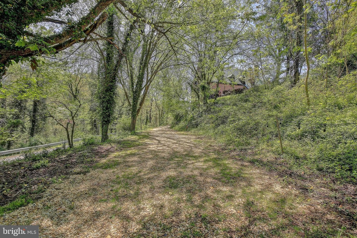 1040 White Sands Drive photo 63