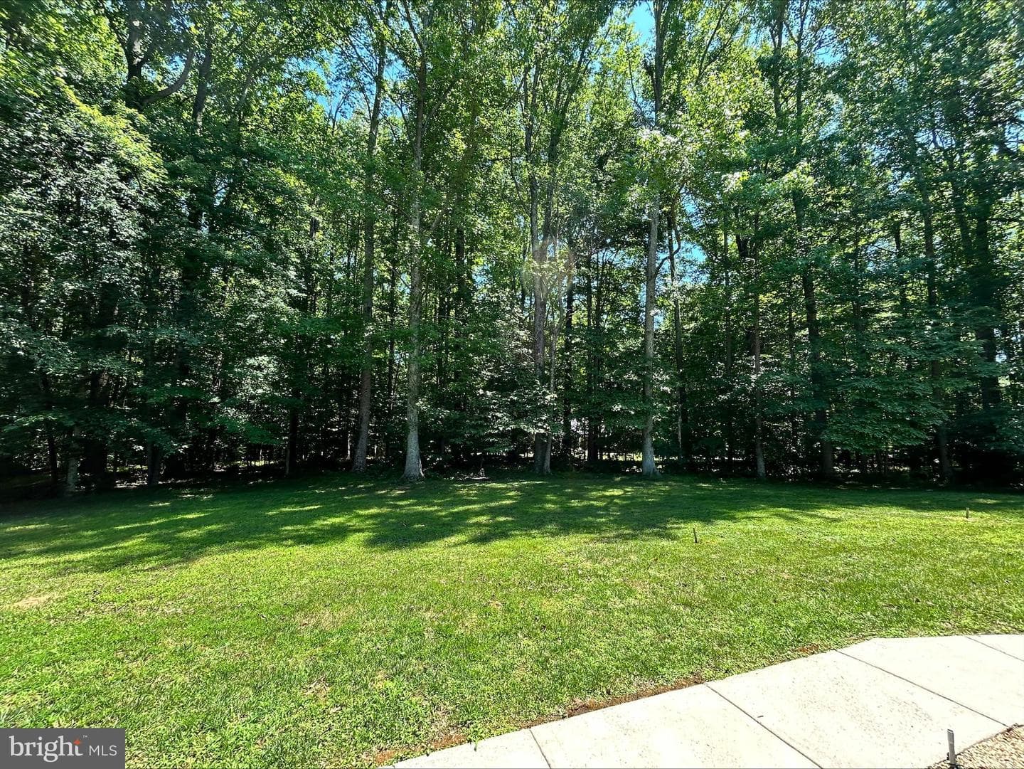 1531 Sunrise Court photo 30