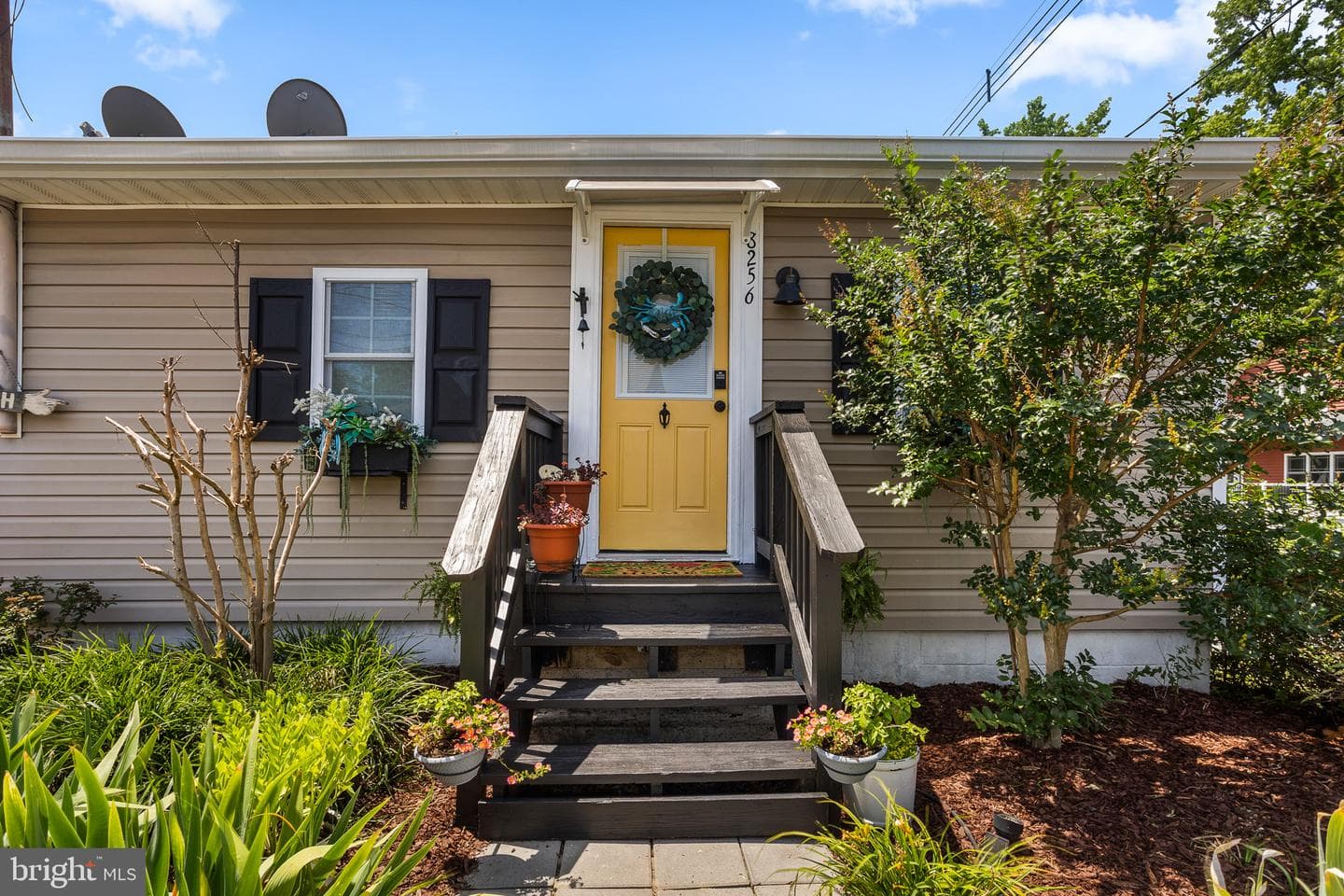 8256 D Street photo 3