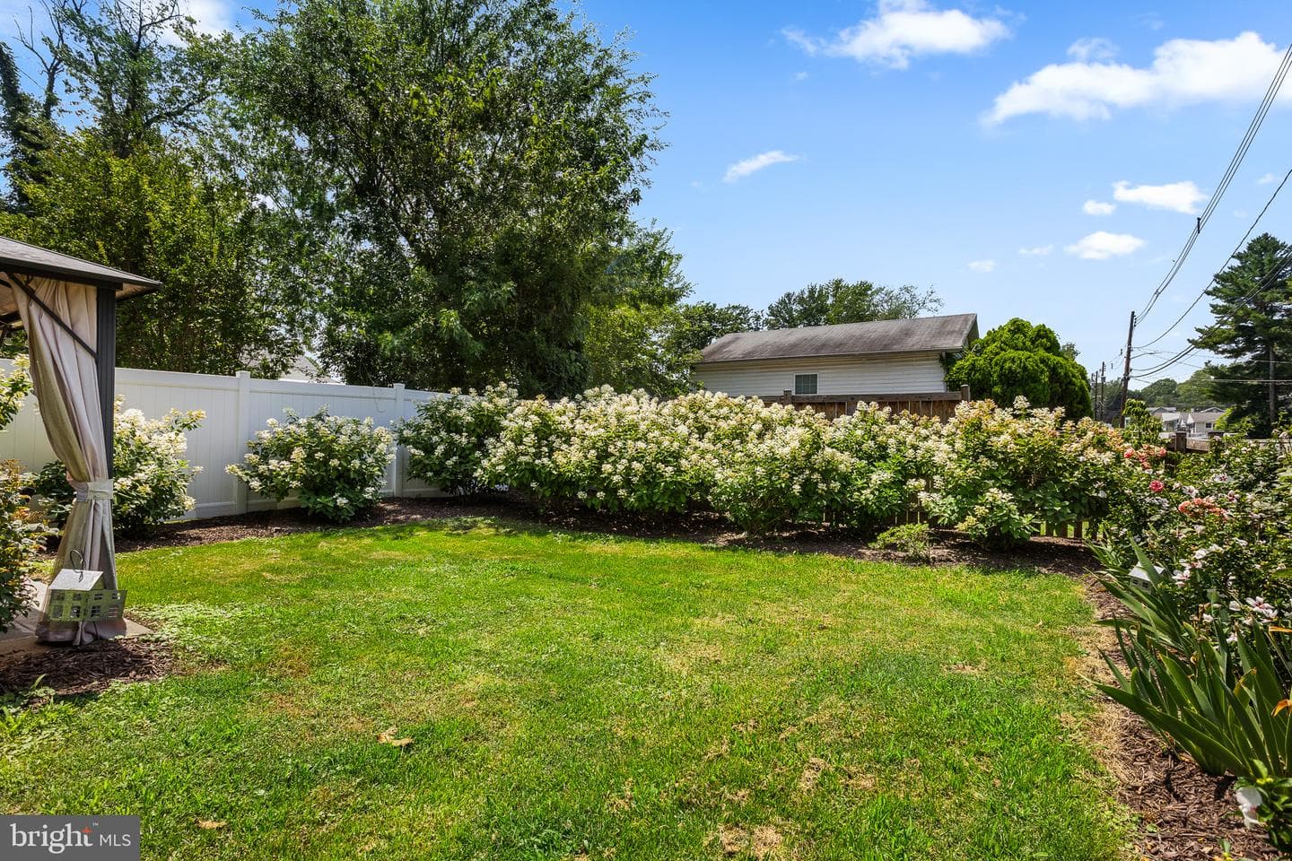 8256 D Street photo 33