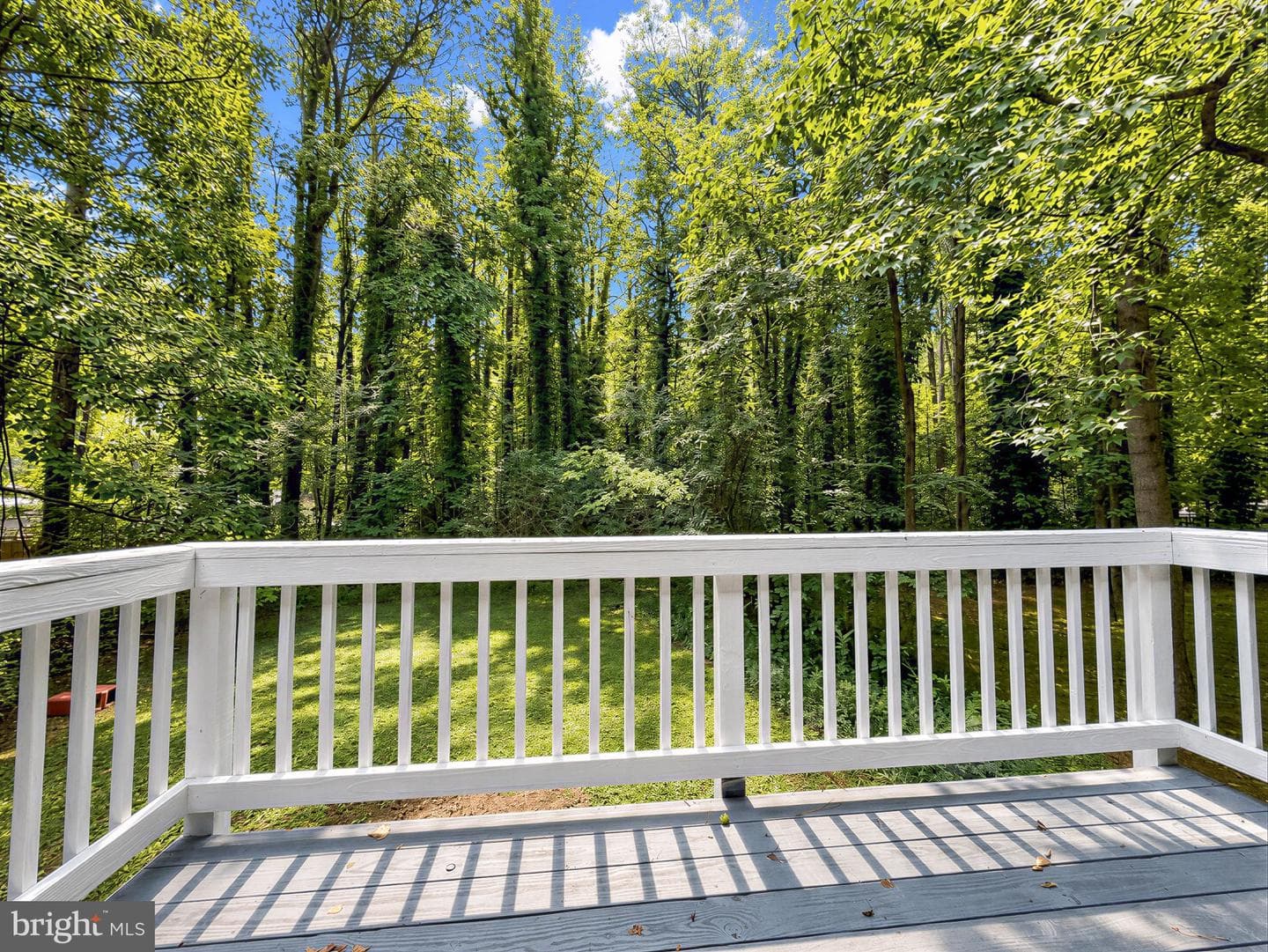 329 Chestnut Drive photo 23
