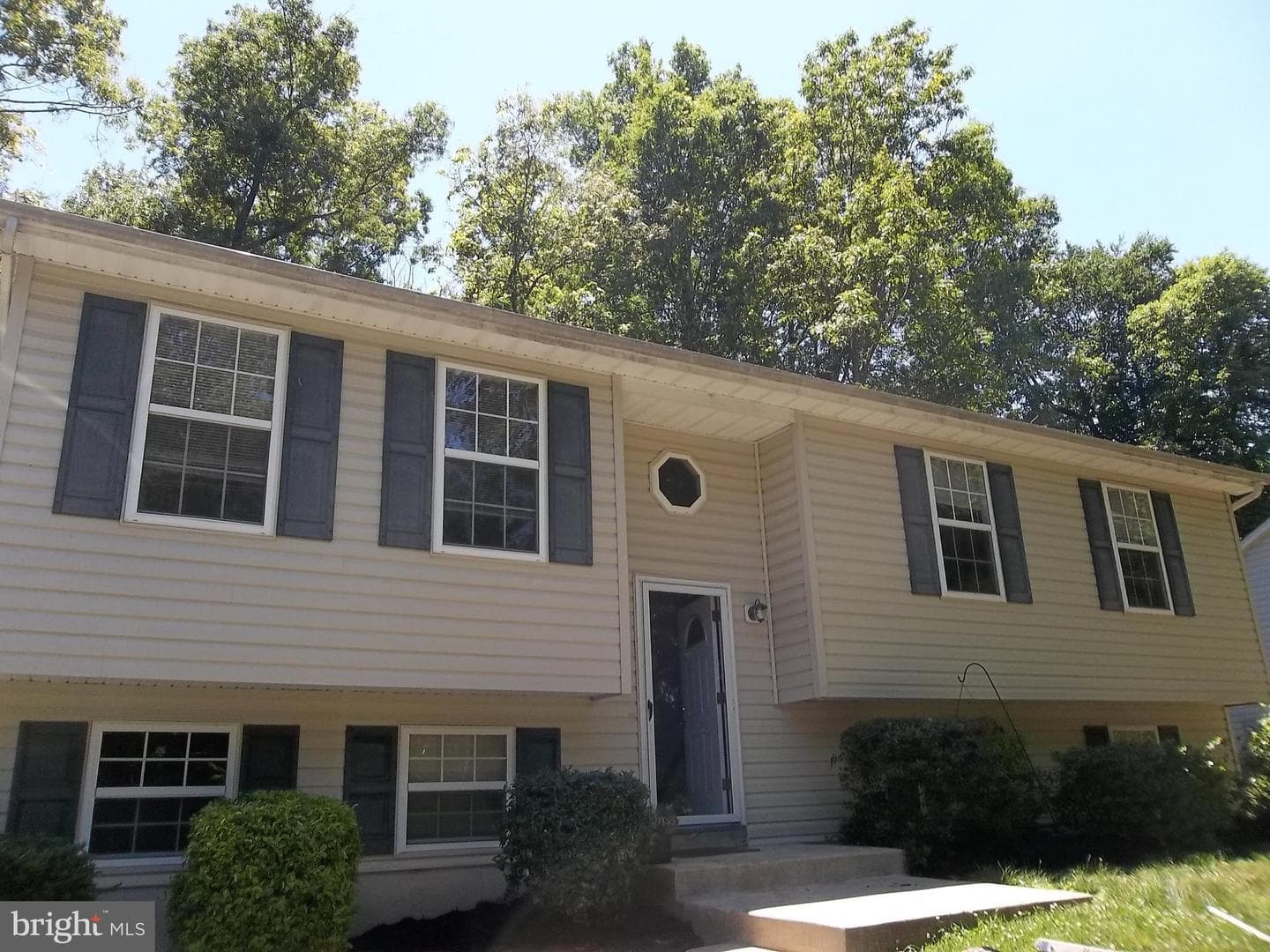 673 Running Fox Road photo 1