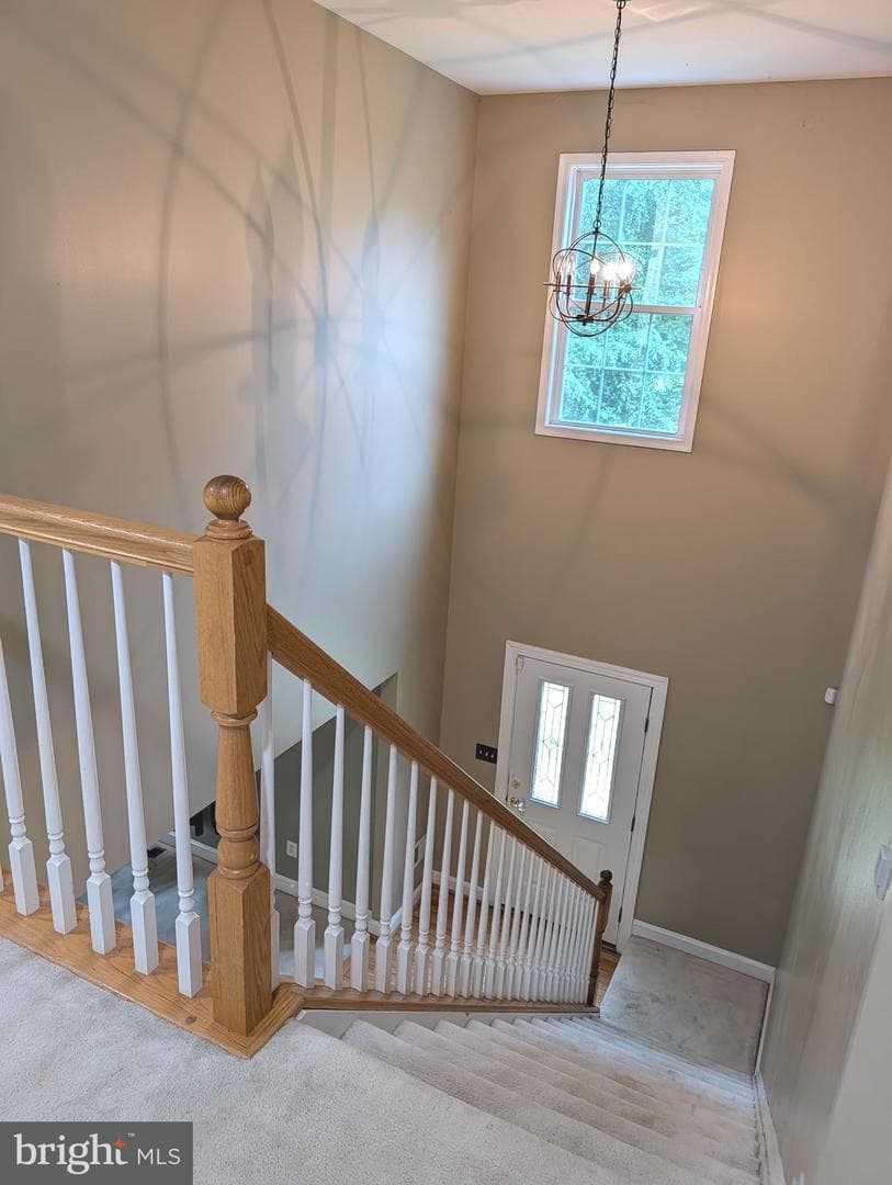 2440 Abigail Court photo 49