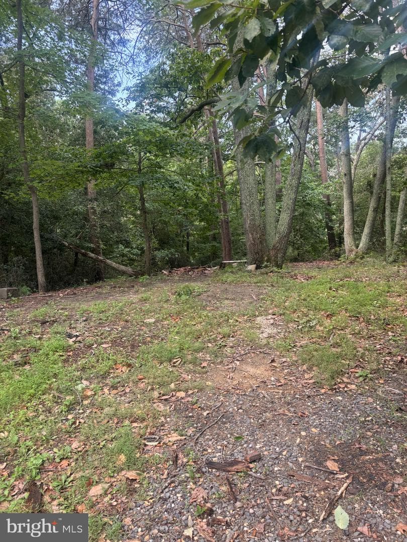 685 Hickok Trail photo 7