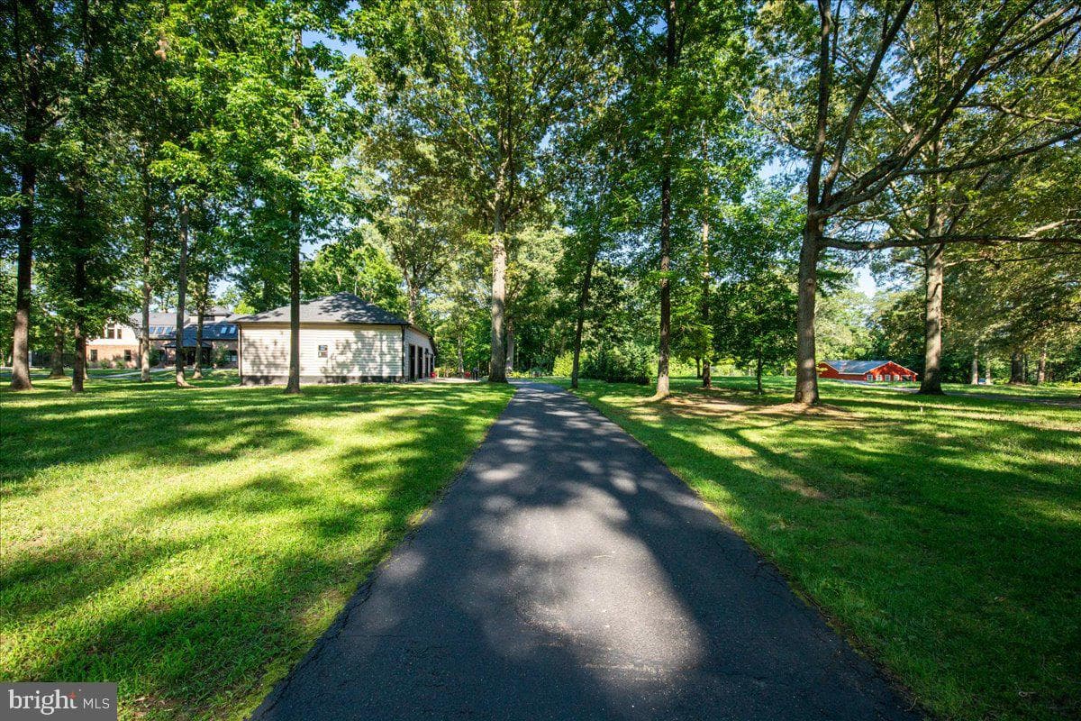 7785 Swan Lane photo 7