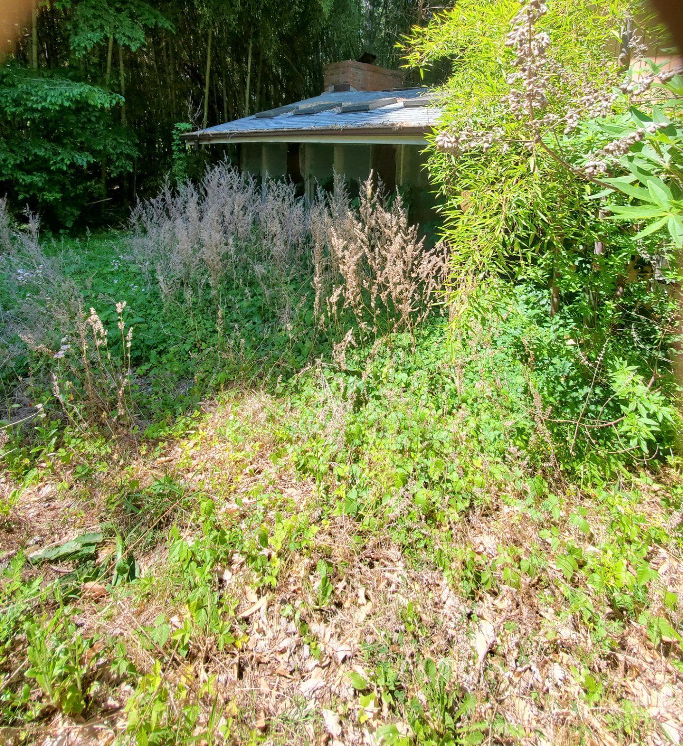 3317 North Avenue photo 1