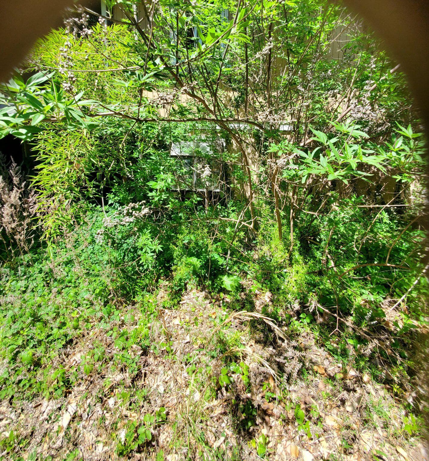 3317 North Avenue photo 3
