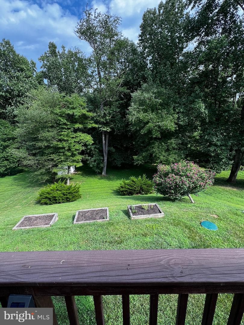 84 Finnegans Place photo 54