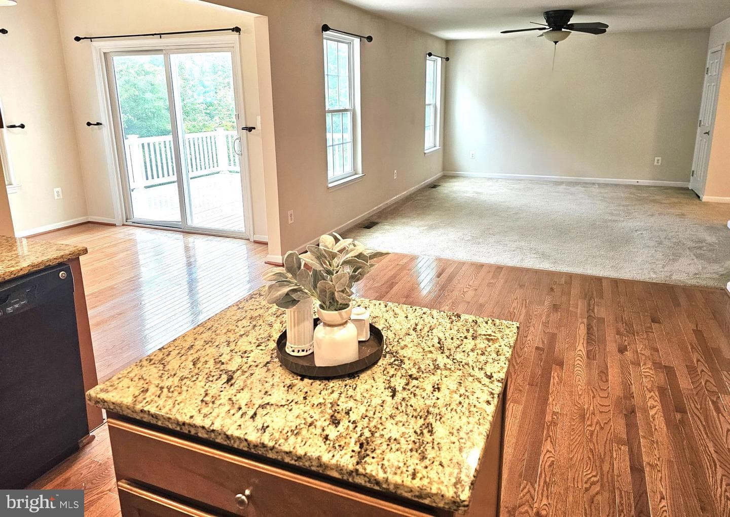 120 Cool Springs Road photo 9