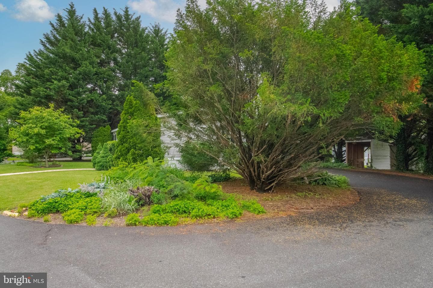 4 Mallard Drive photo 31