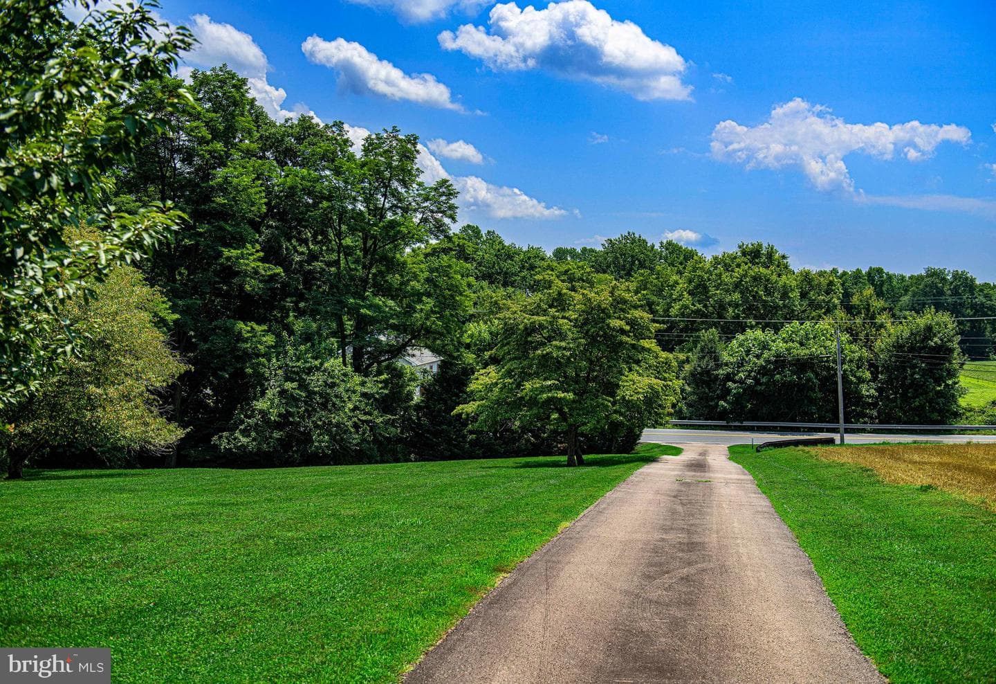 289 Conowingo Road photo 43