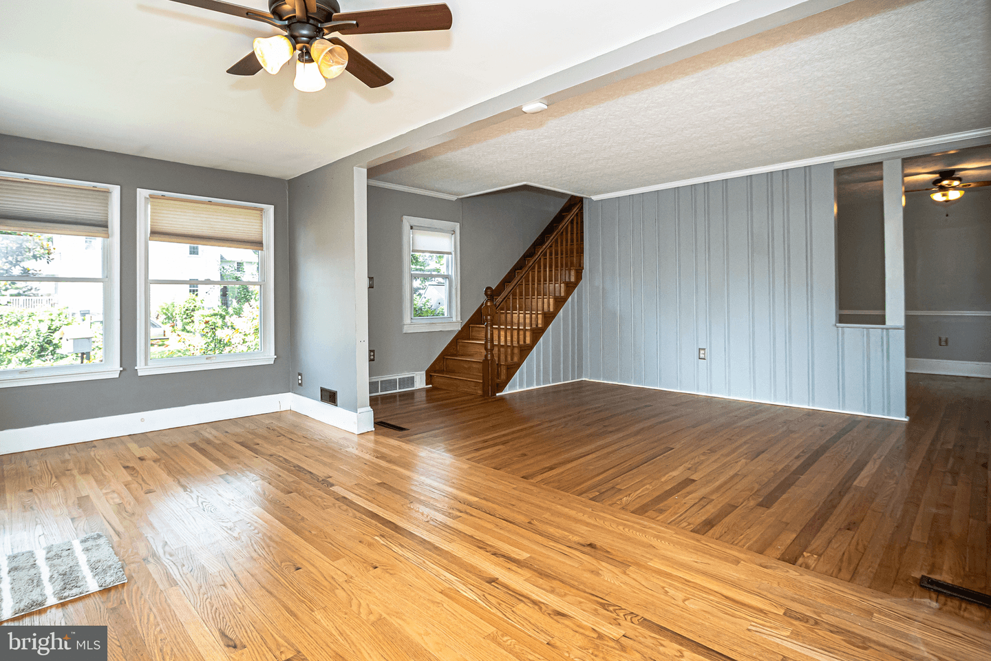339 Cecil Street photo 2