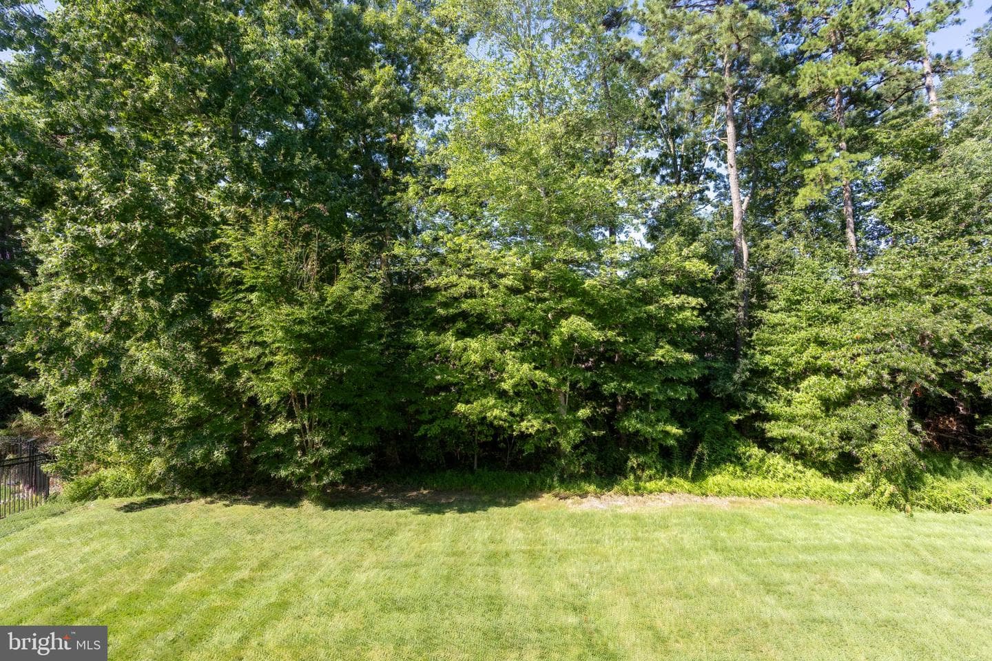 153 Cool Springs Road photo 9