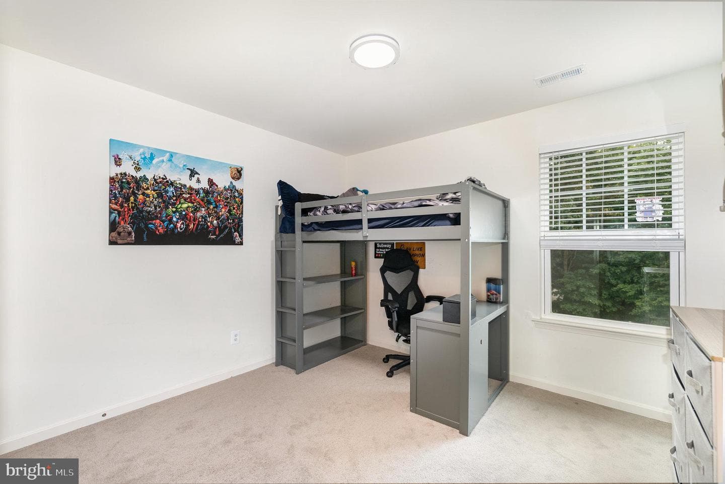 105 Maple Leaf Drive photo 18