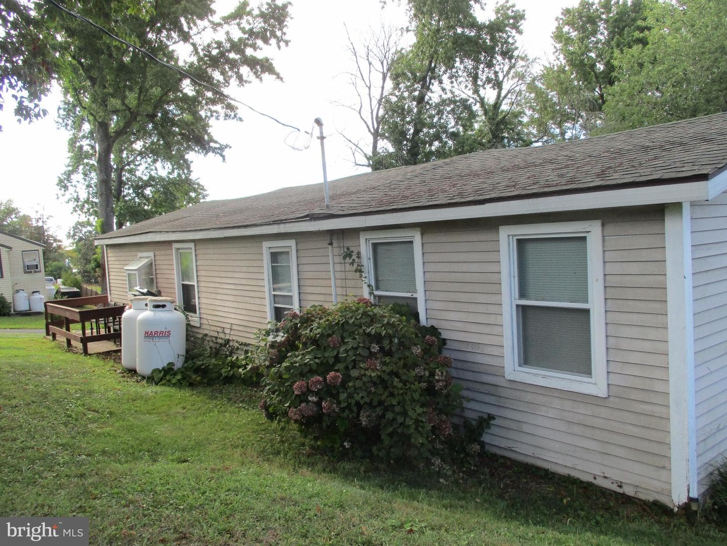 47 Birch Road photo 13