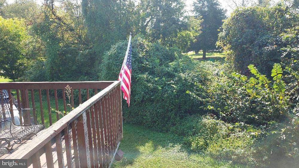 114 Creswell Avenue photo 15