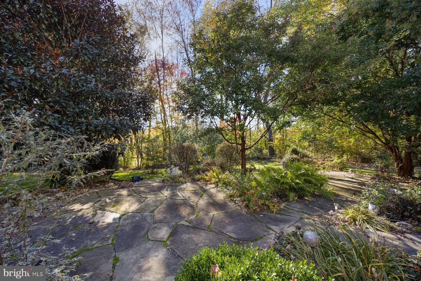84 Clematis Way photo 36