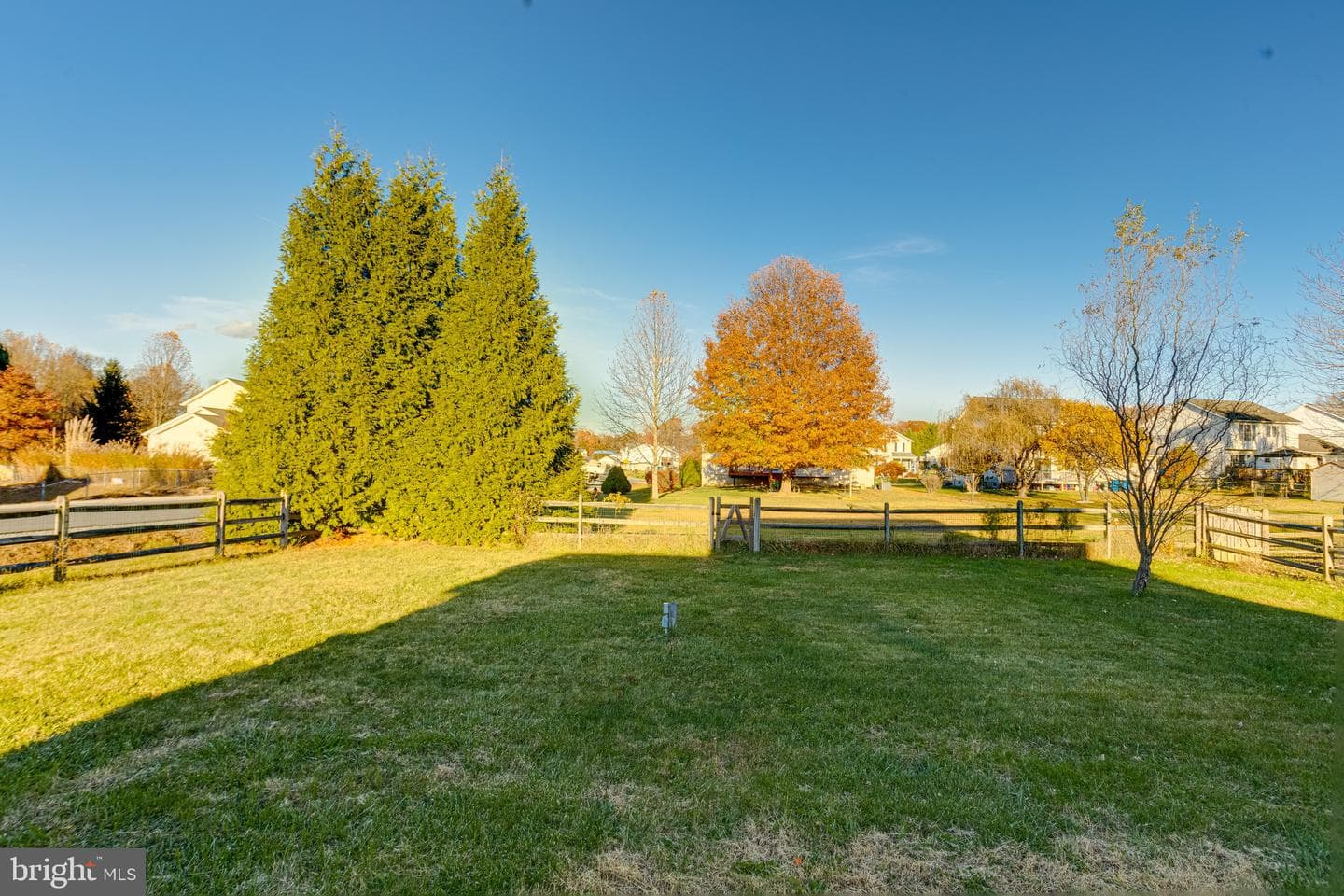1 Pinehurst Court photo 54