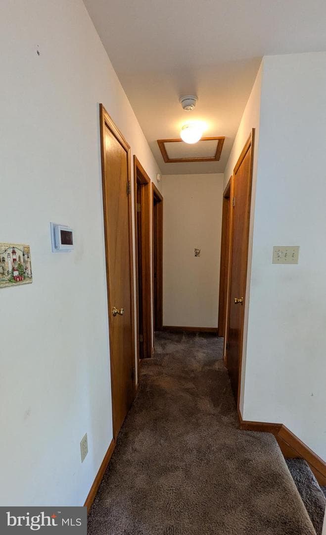 119 Caroline Street photo 11