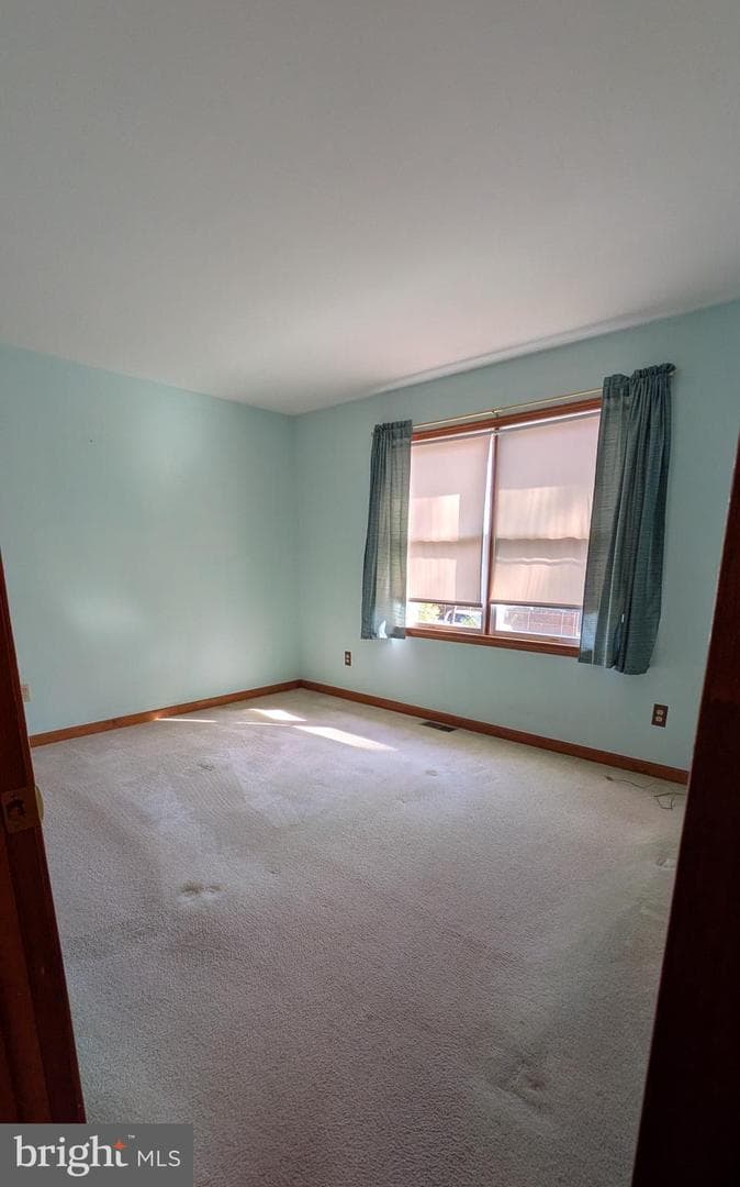 119 Caroline Street photo 15