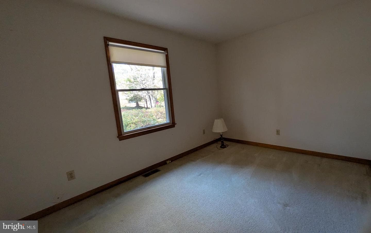 119 Caroline Street photo 16