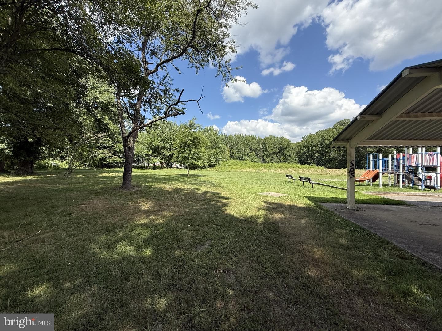 20 Chestnut Drive photo 62