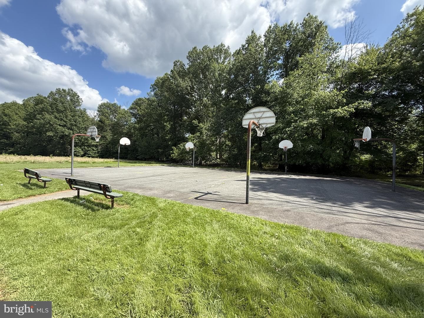 20 Chestnut Drive photo 67