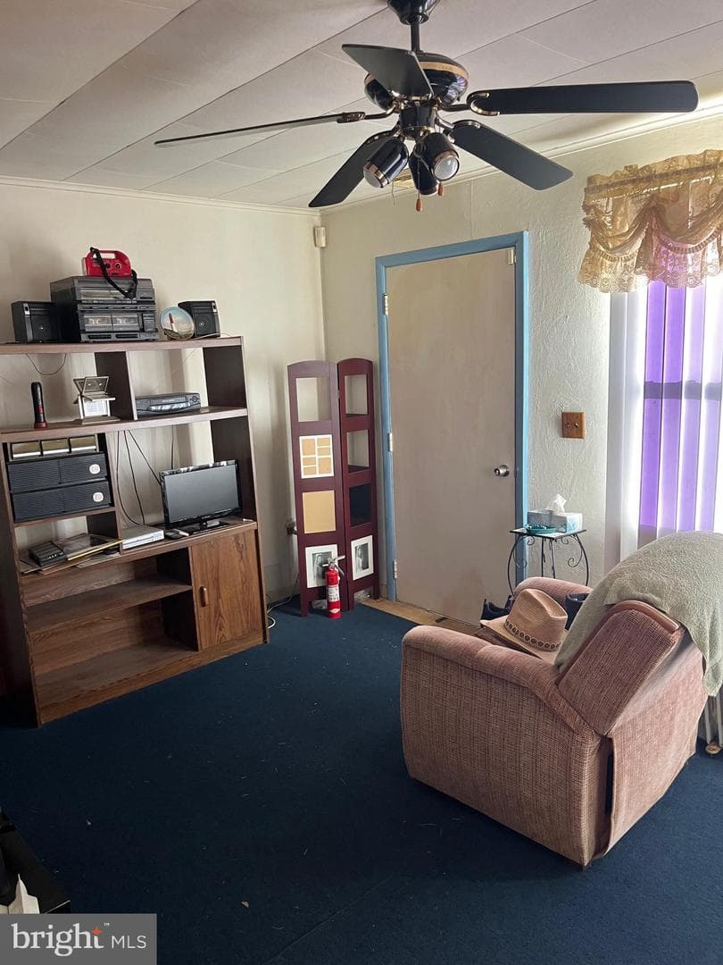 21 Midway Drive photo 7