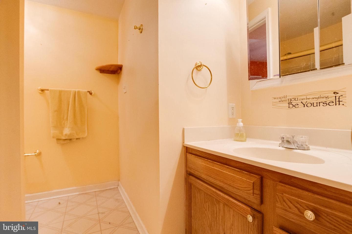 224 Independence Drive photo 40