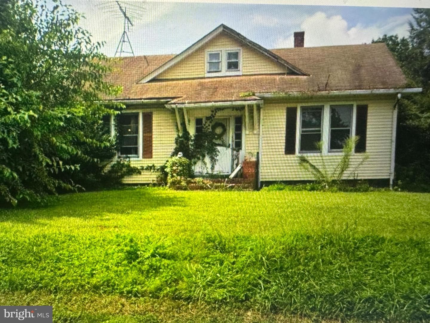 1 Haines Avenue photo 1