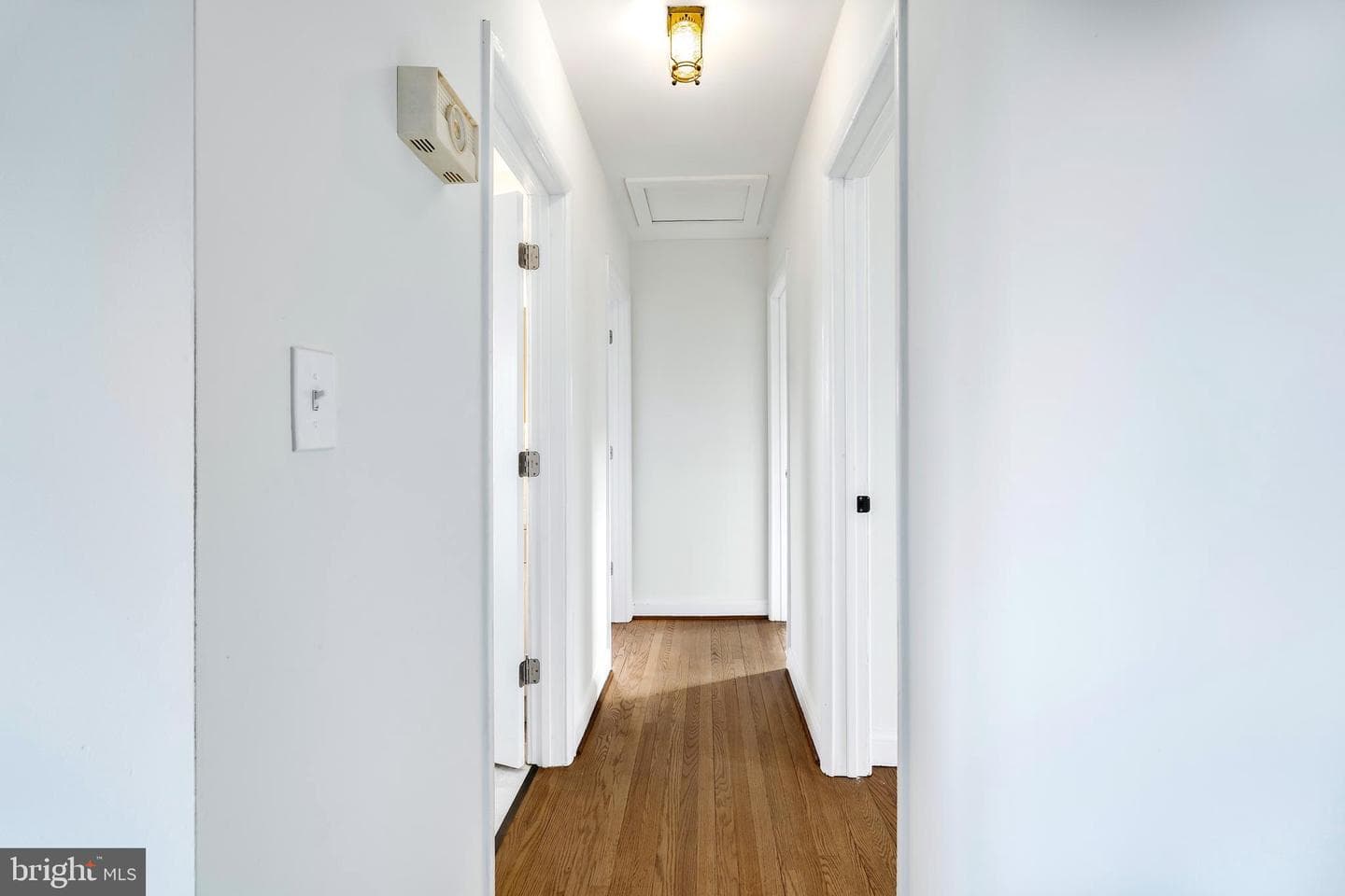 404 Pearl Street photo 19