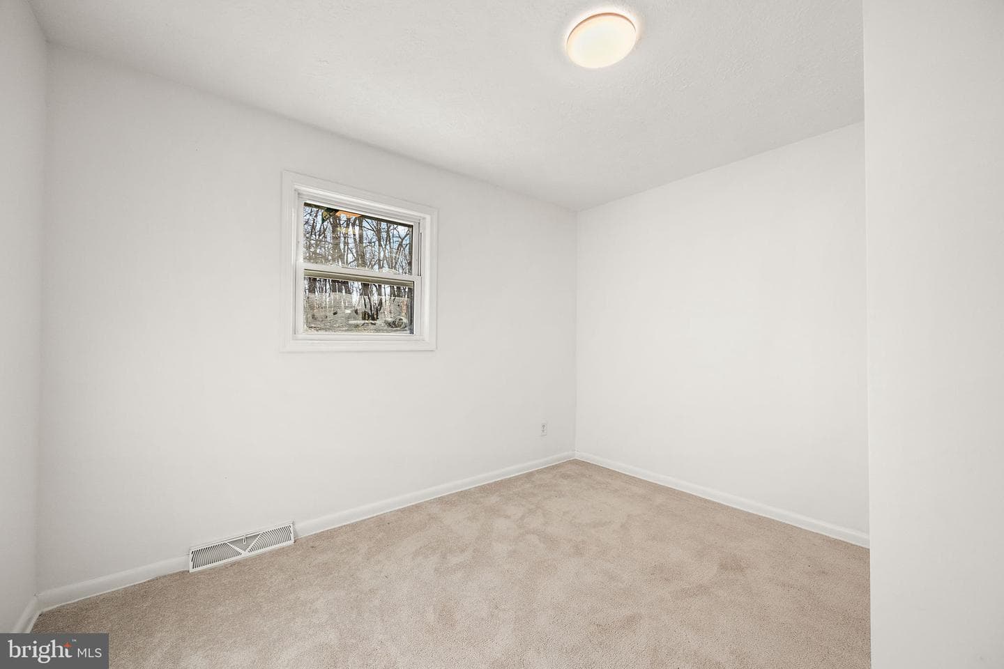 236 Doctor Jack Road photo 21