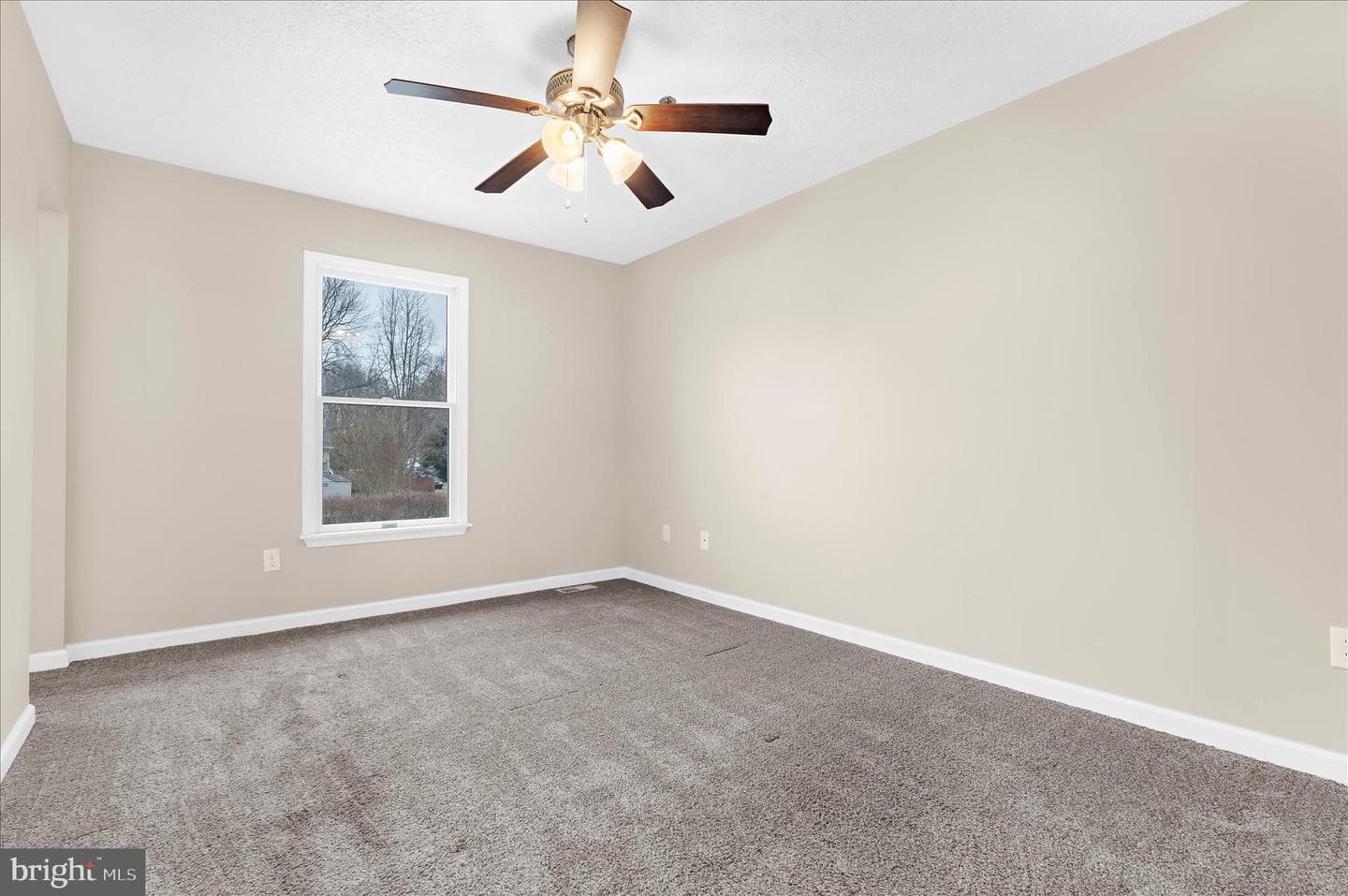10 Owen Court photo 15