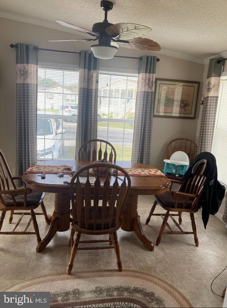 39 Queen Eleanor Drive photo 5
