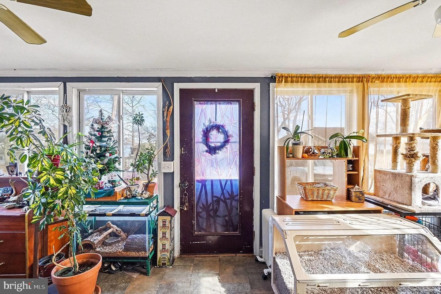8 Cherry Lane photo 41