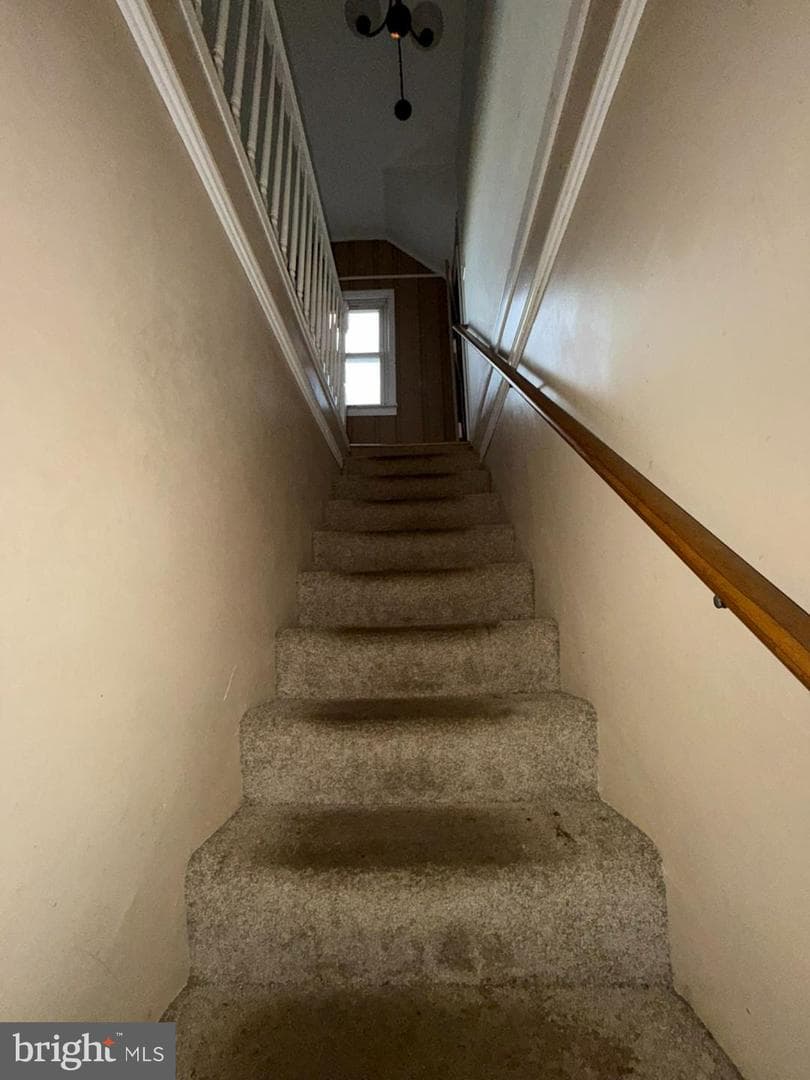 27 Haines Avenue photo 18
