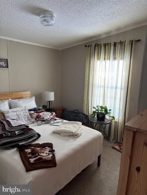 17 E Circle Dr photo 17