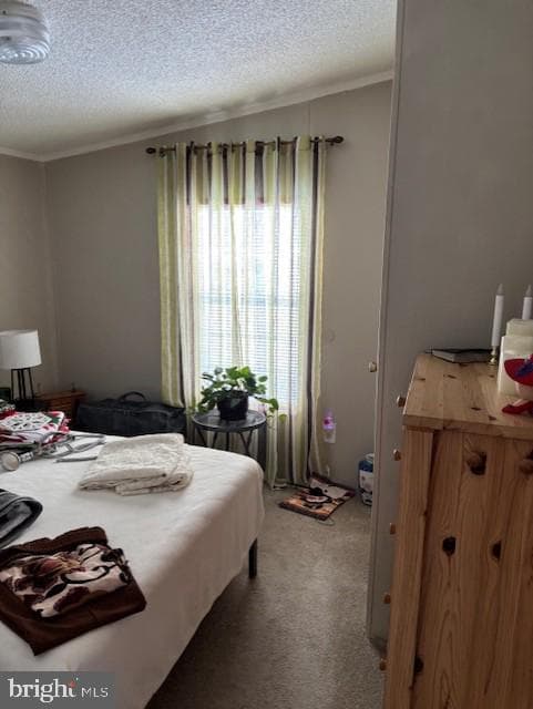 17 E Circle Dr photo 5