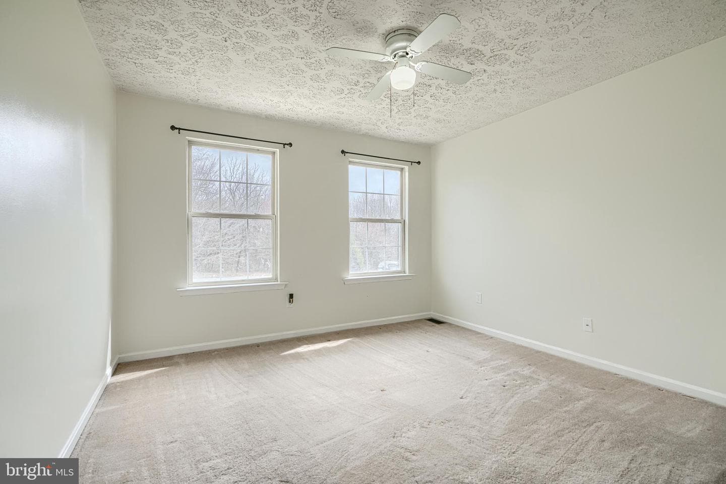 35 Coulson Drive photo 41