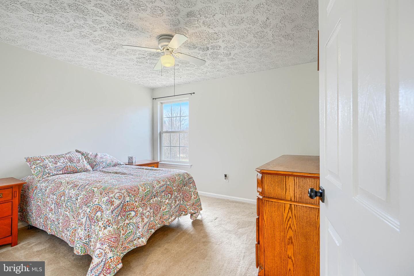35 Coulson Drive photo 45