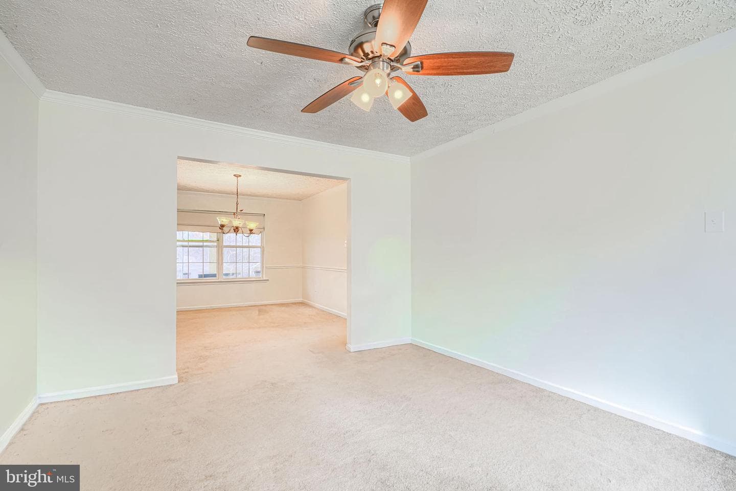 35 Coulson Drive photo 5