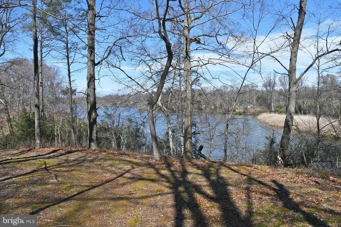 721 Knight Island Road photo 25