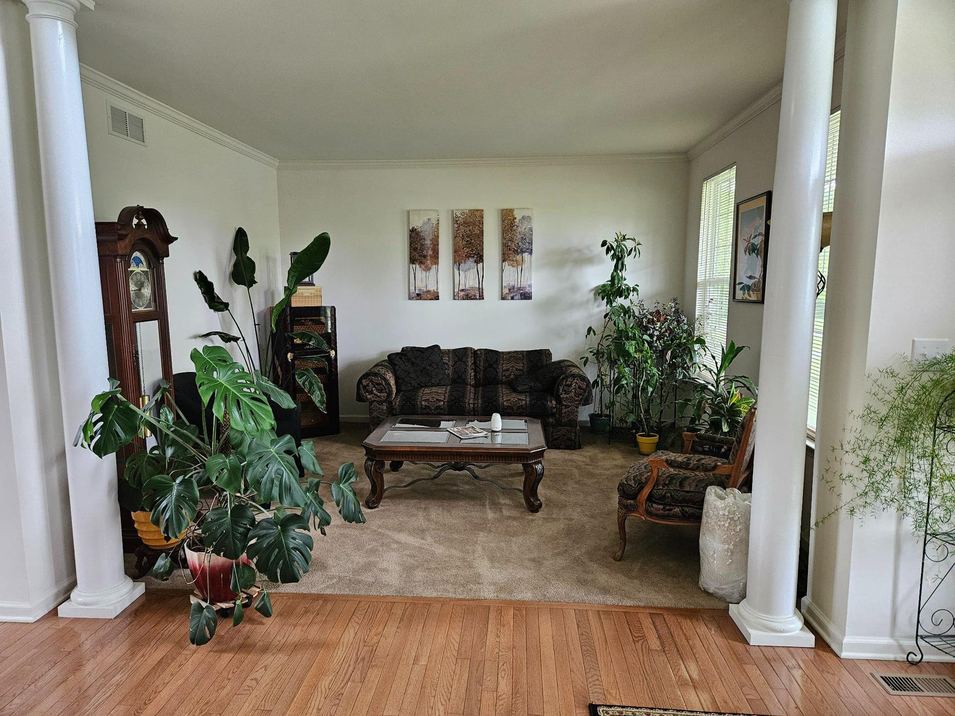 33 Sunburst Drive photo 24