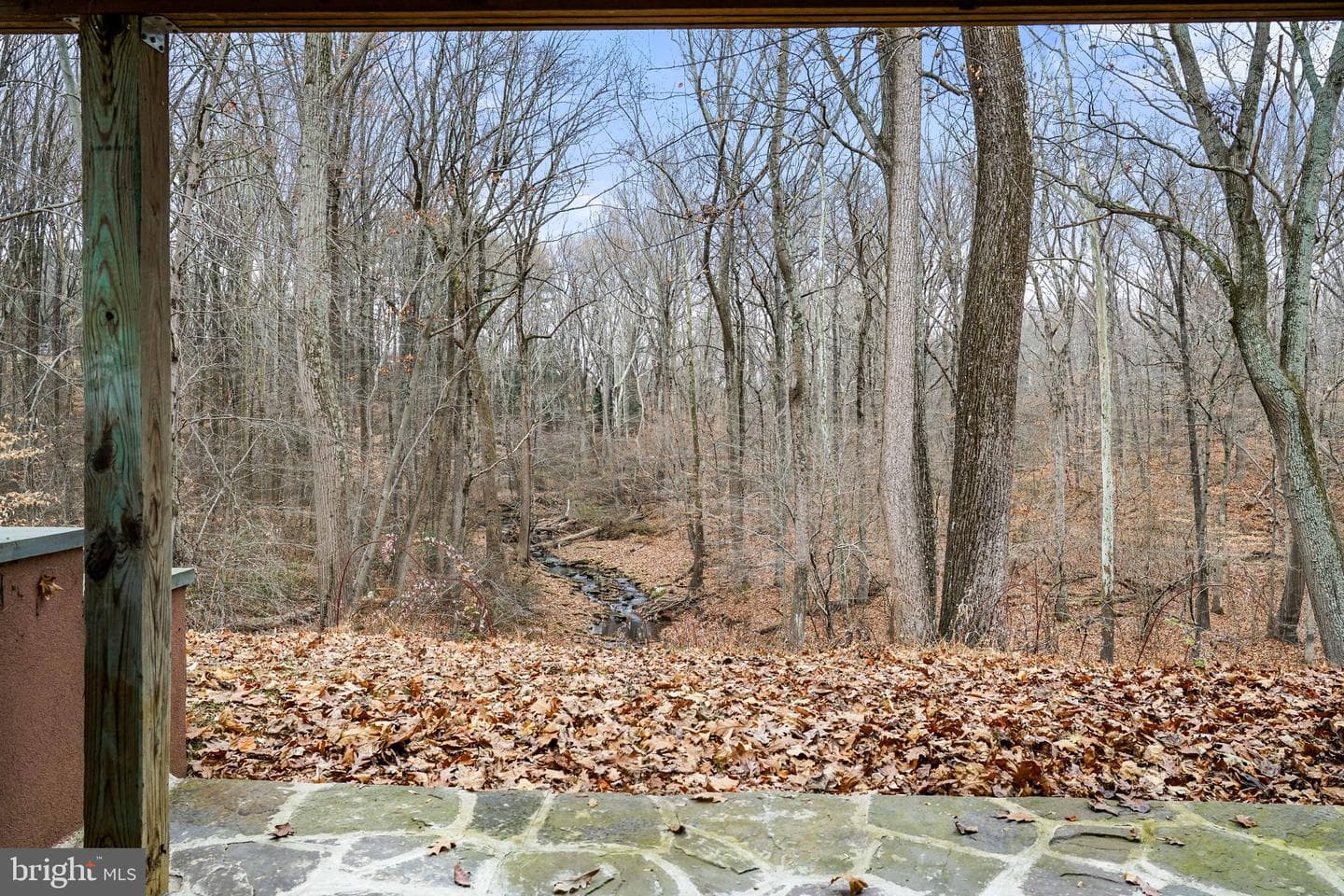 64 Barnett Drive photo 29